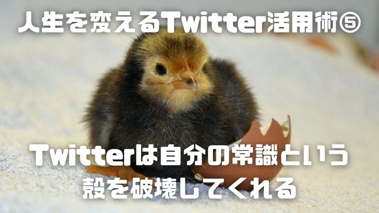 06_人生を変えるTwitter活用術⑤：Twitterは自分の常識という殻を破壊してくれる