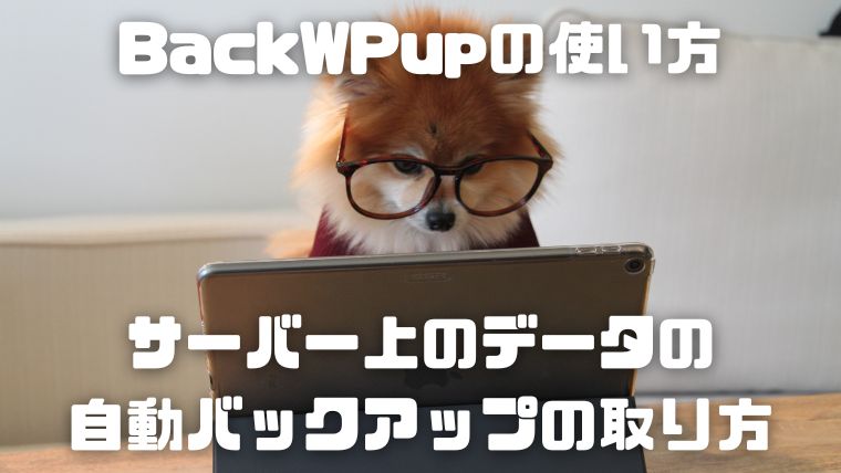 BackWPupの使い方_006_サーバー上のデータの自動バックアップの取り方